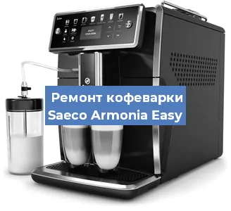 Чистка кофемашины Saeco Armonia Easy от кофейных масел в Екатеринбурге